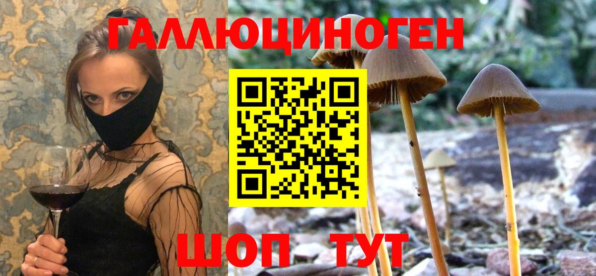 Борисоглебск  Галлюциногенные грибы Psilocybine cubensis  Галлюциногенные грибы Psilocybe  Вход с VPN 